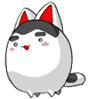 cat type creature