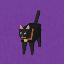 katamri damacy cat model