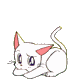 artemis from sailor moon resting